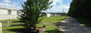 Mobile Homes for Rent